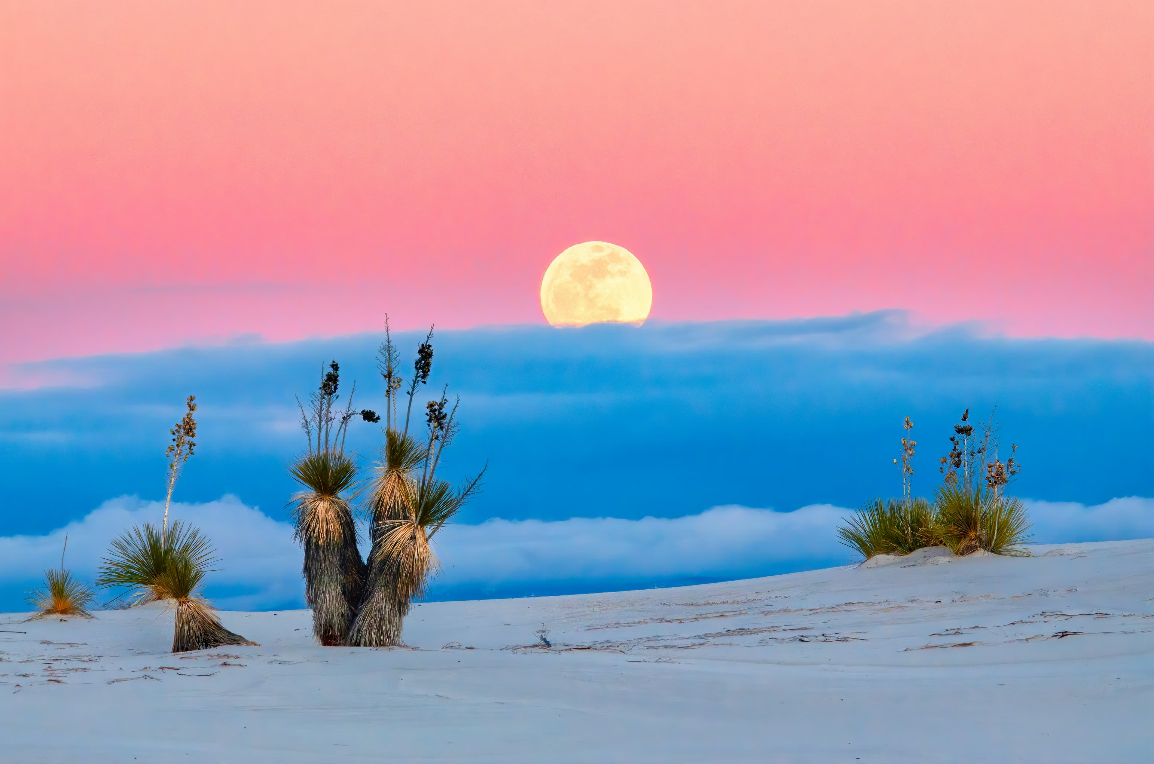 White Sand